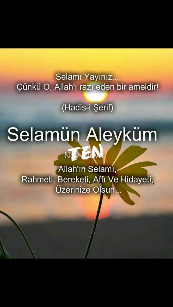 @fundaarducoglu45