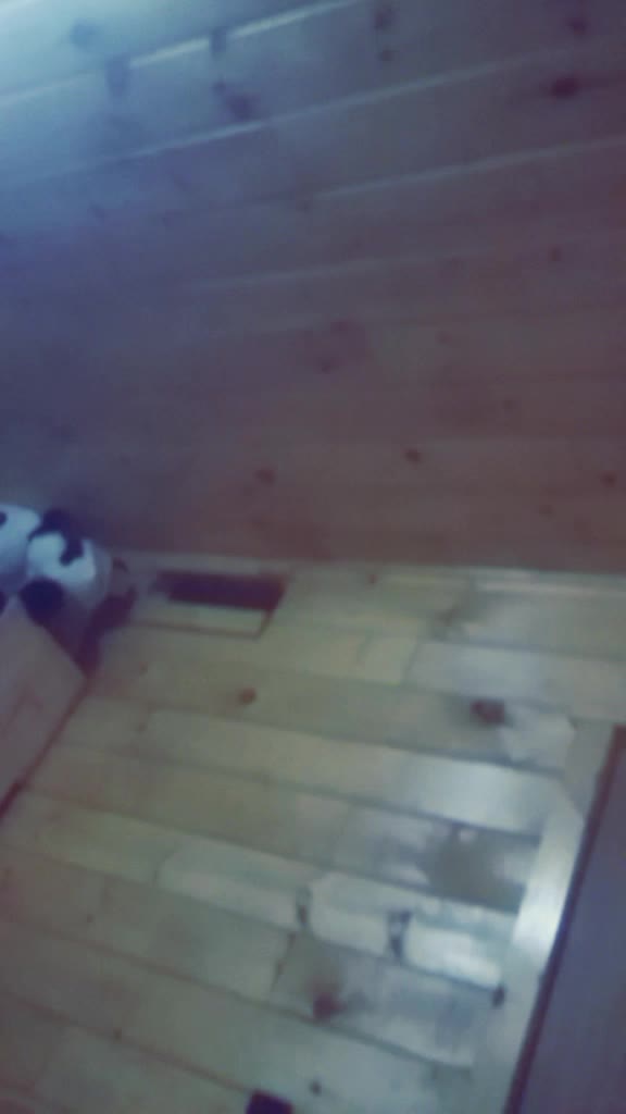 @aesthetic panda