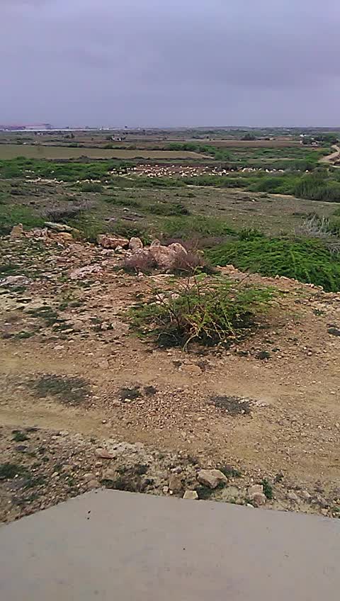 @sagar rabari