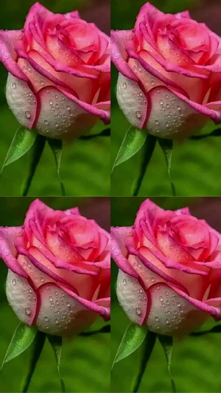@Manjunath Manjunath