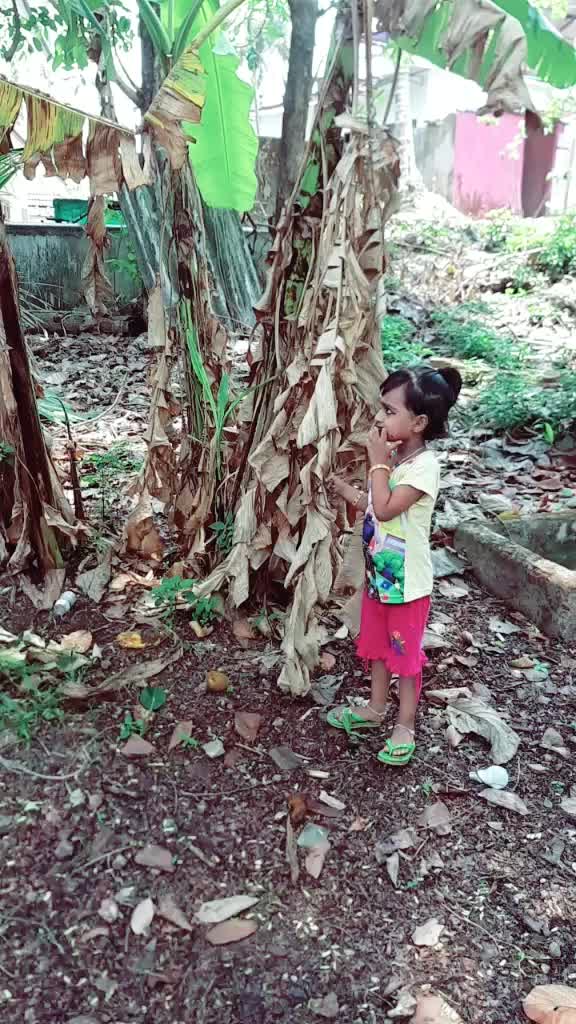 @lakshmiksurendran