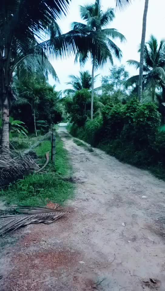 @പെരുവല്ലൂർക്കാരൻ
