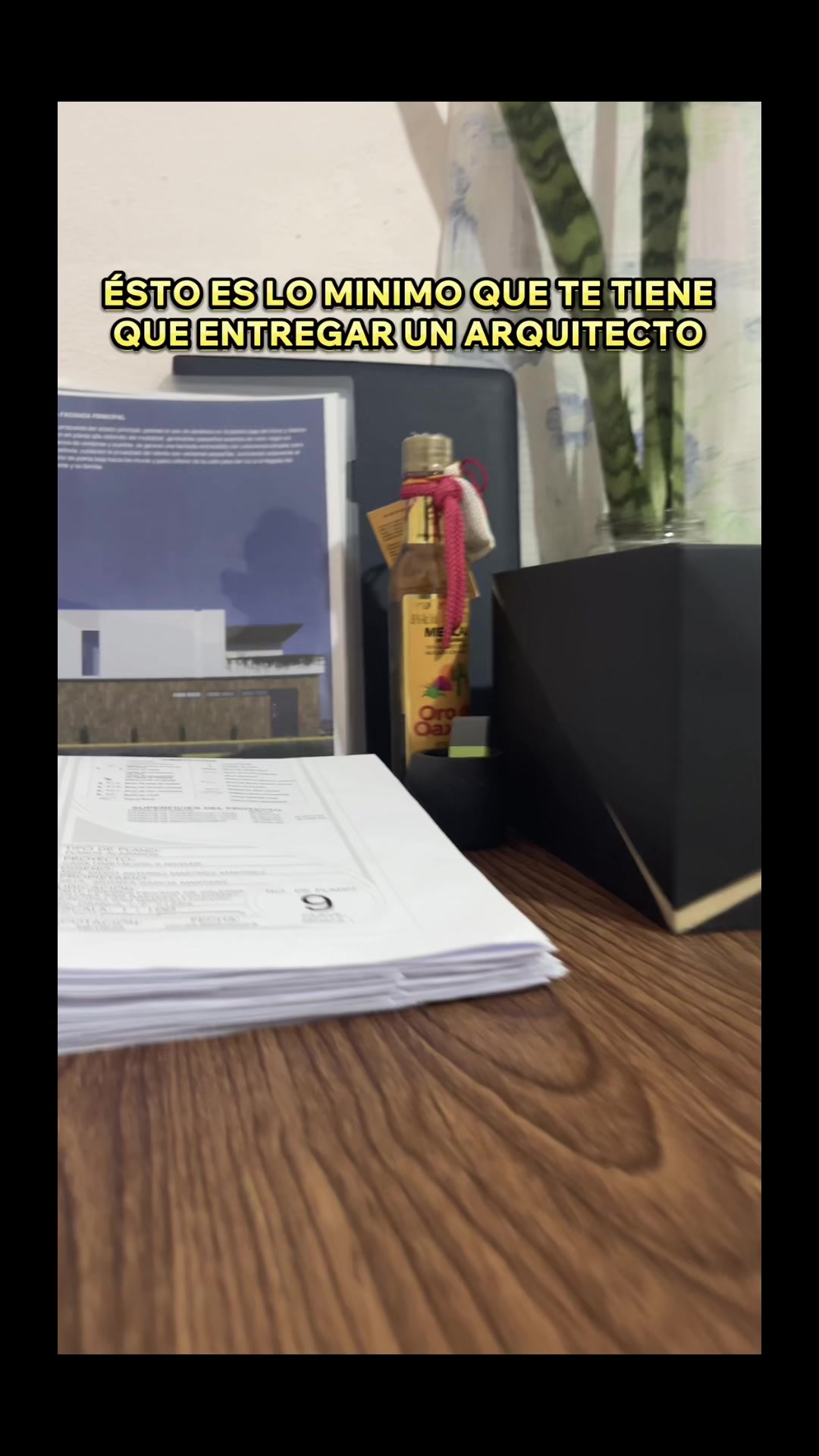 @Arq. Diego Mart&iacute;nez&reg;