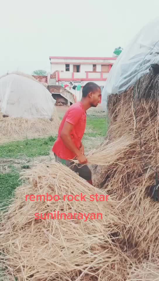 @sunil narayan