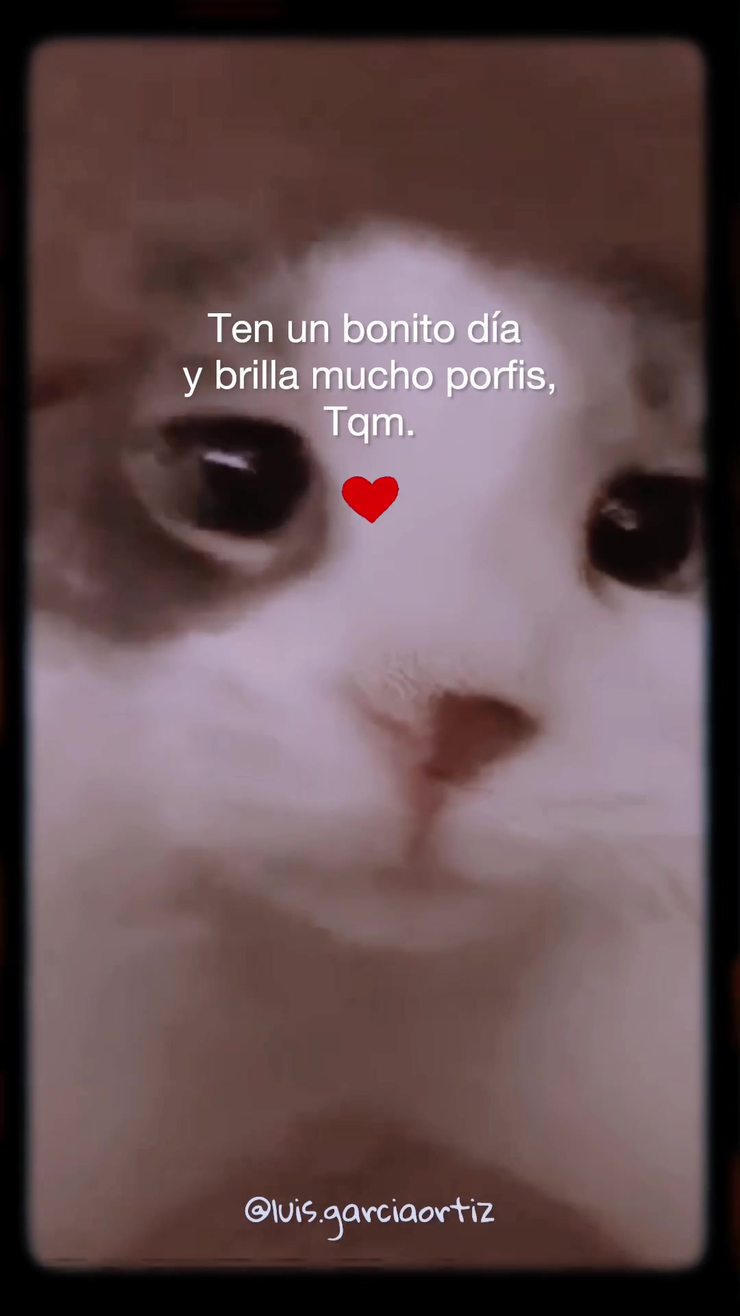@Luis Garcia Ortiz