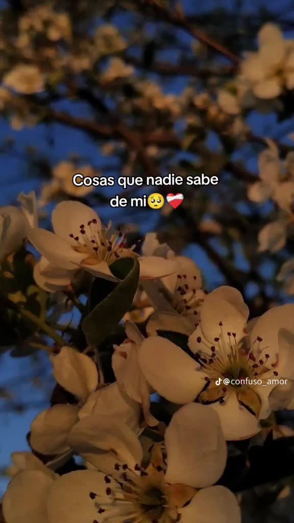 @Quiri Rodriguez