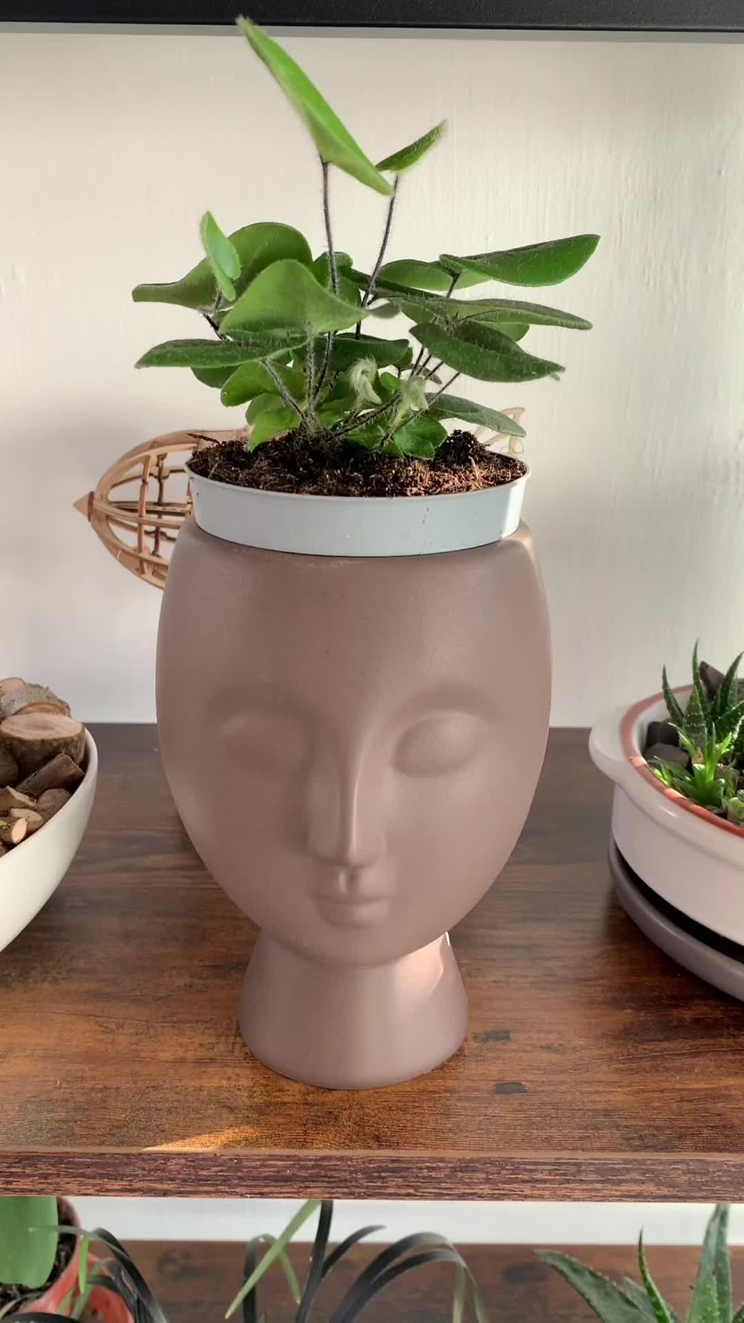 @Plant!U