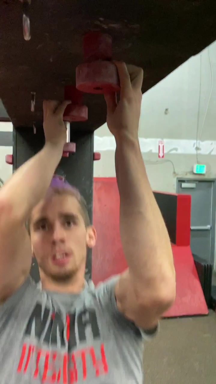 @austingray.ninja