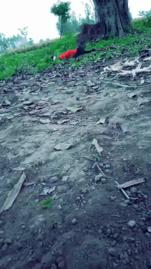 @miya bhai