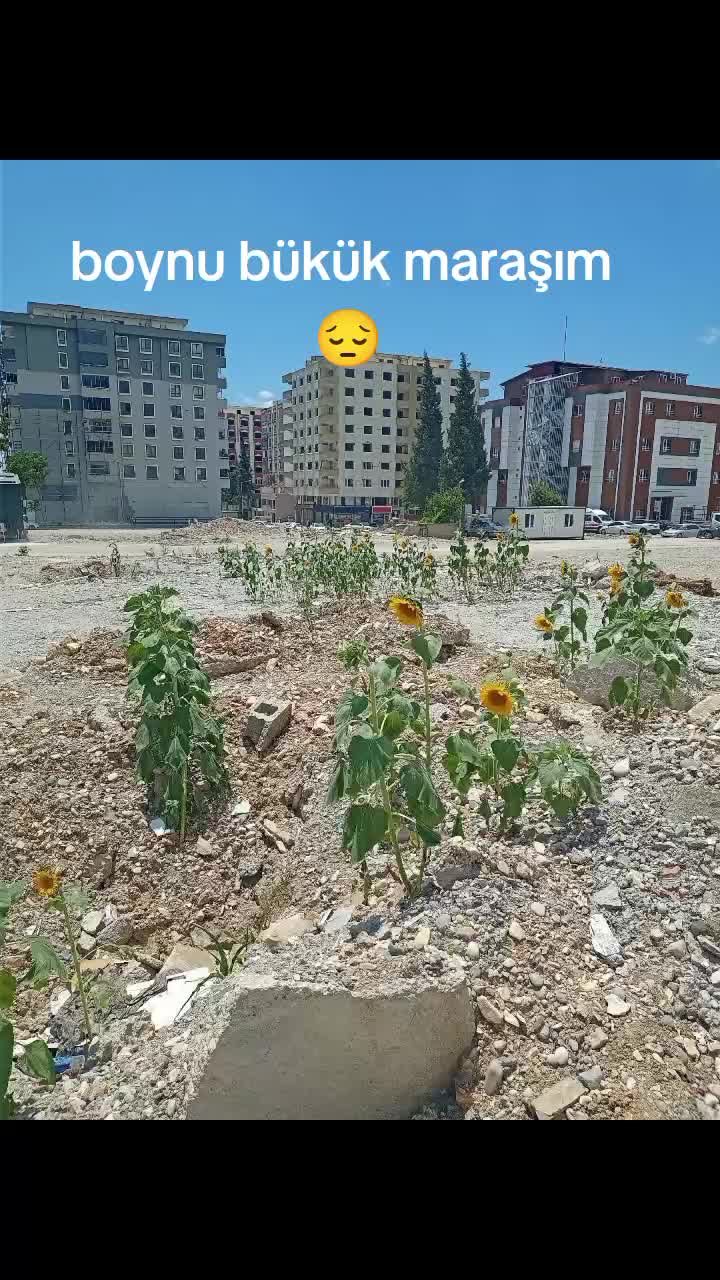 @yureksizim033