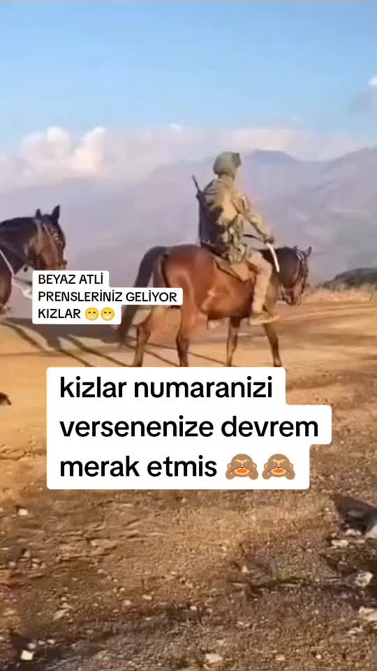 @🦅🇹🇷🐺 BOZKURT ASENA🐺🇹🇷🦅