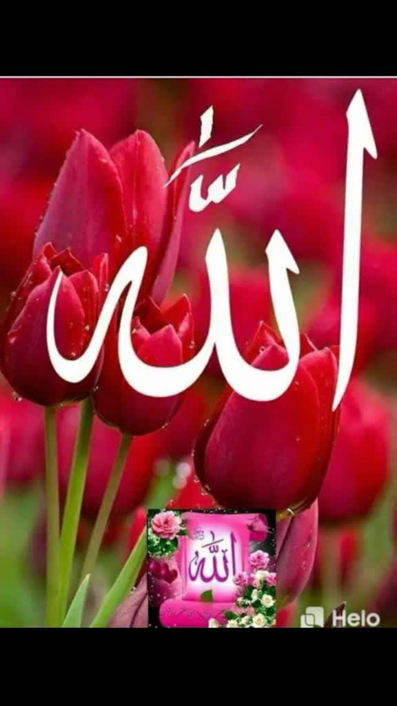 @skatif1137