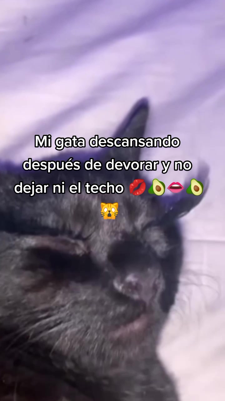 @Larry Ruiz
