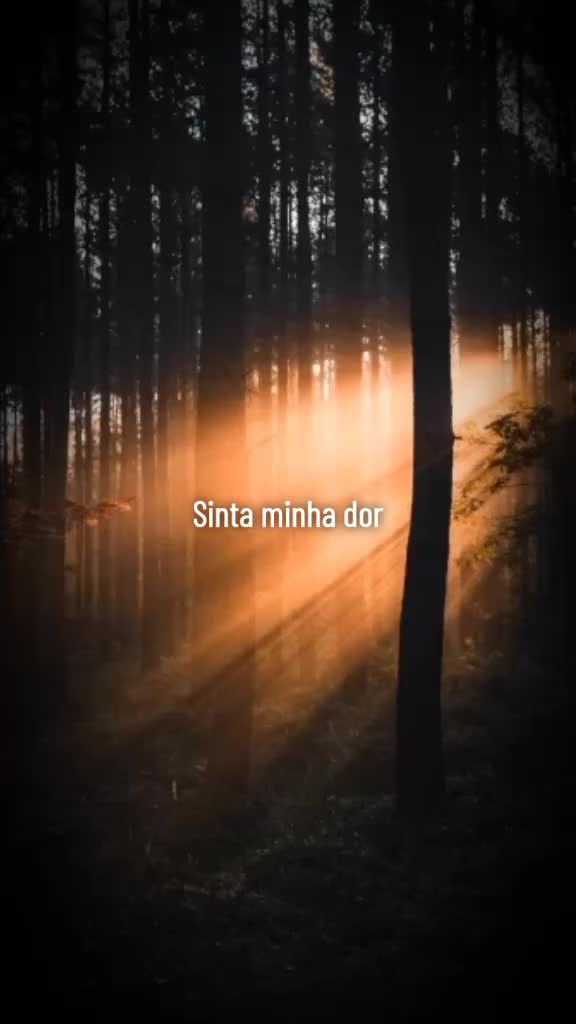 @Sons do 💙💚💛💜