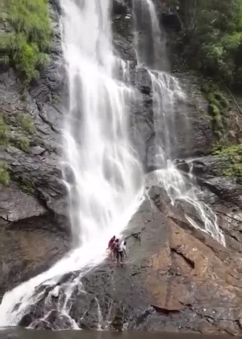@PoojaShree1416
