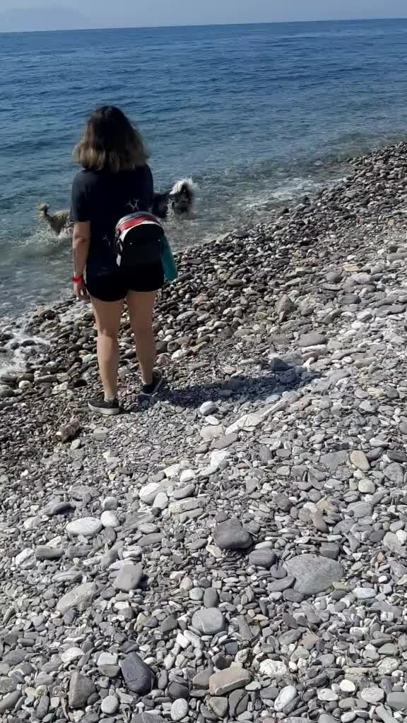 @Erzathehusky