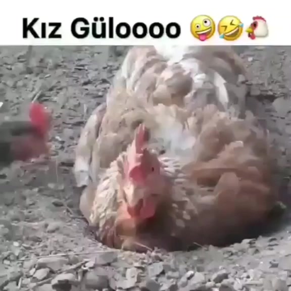 @t&uuml;rkan dağ