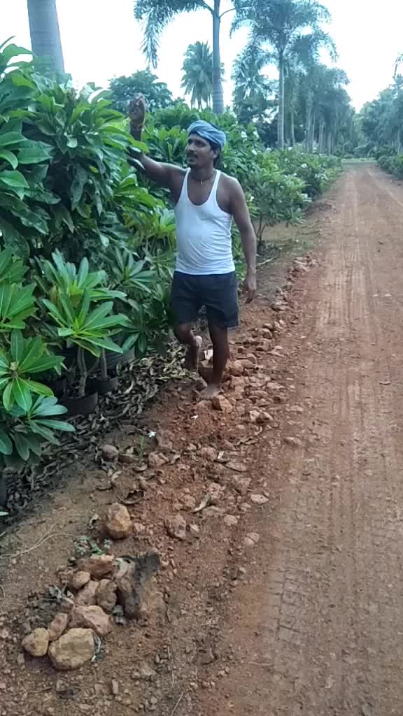 @balaram padala