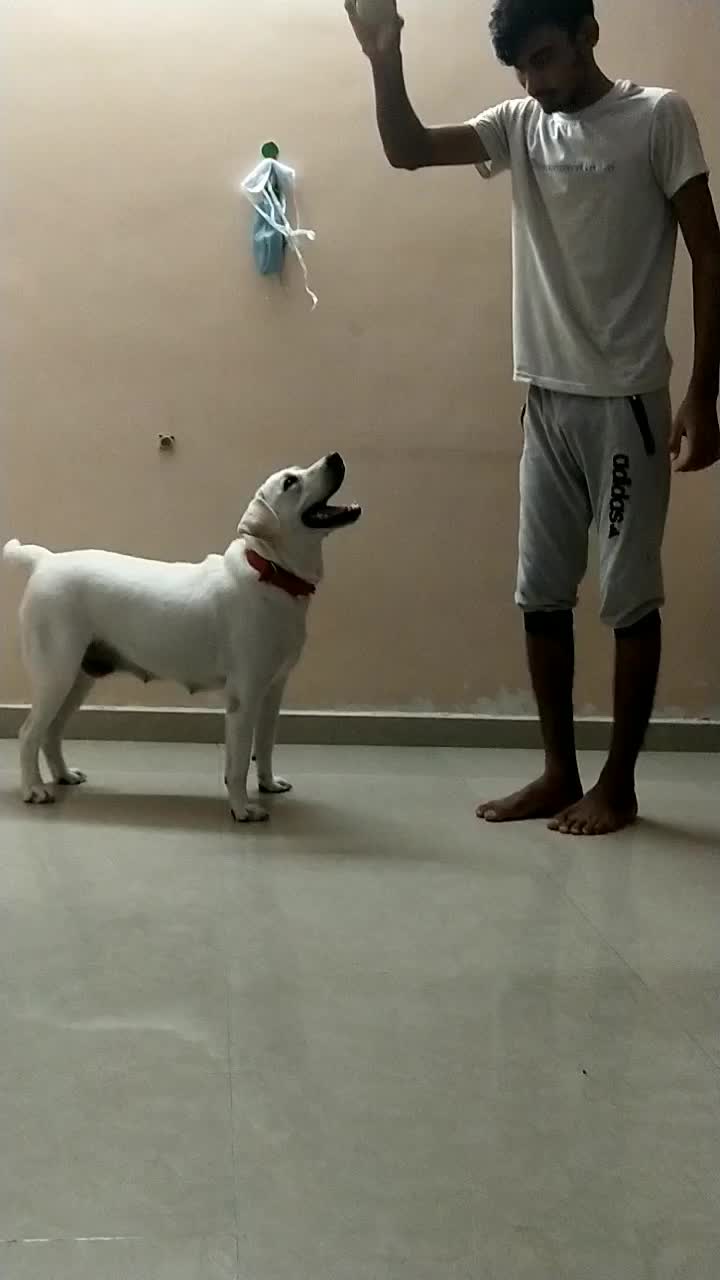 @narendrasinhji__1