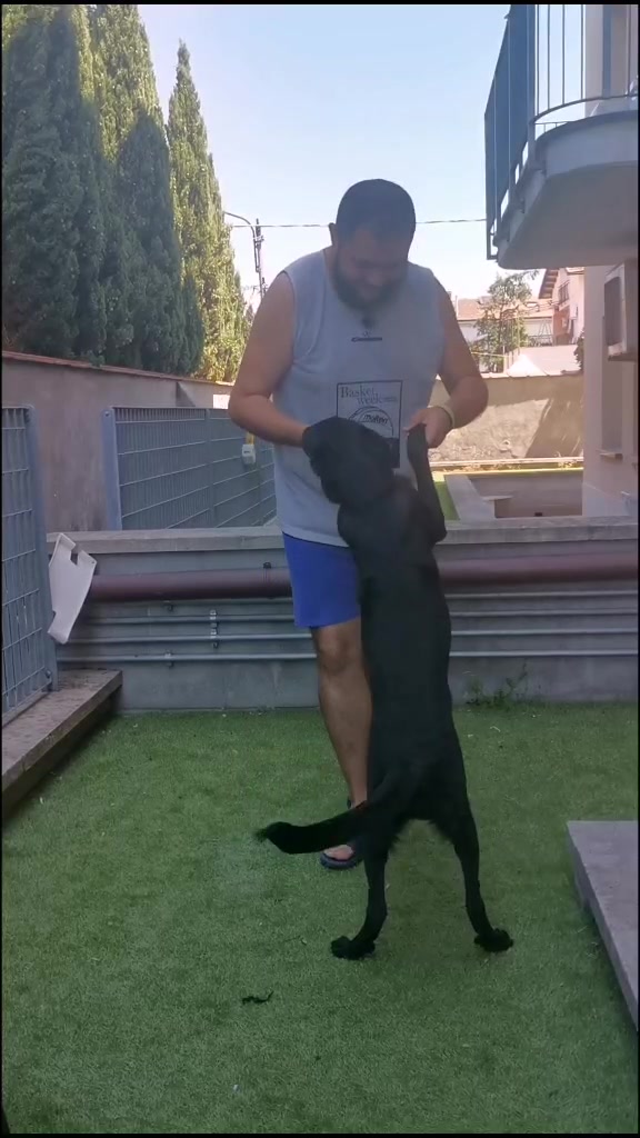 @leo.mazz.98