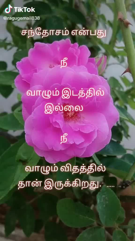 @Muthuselvi