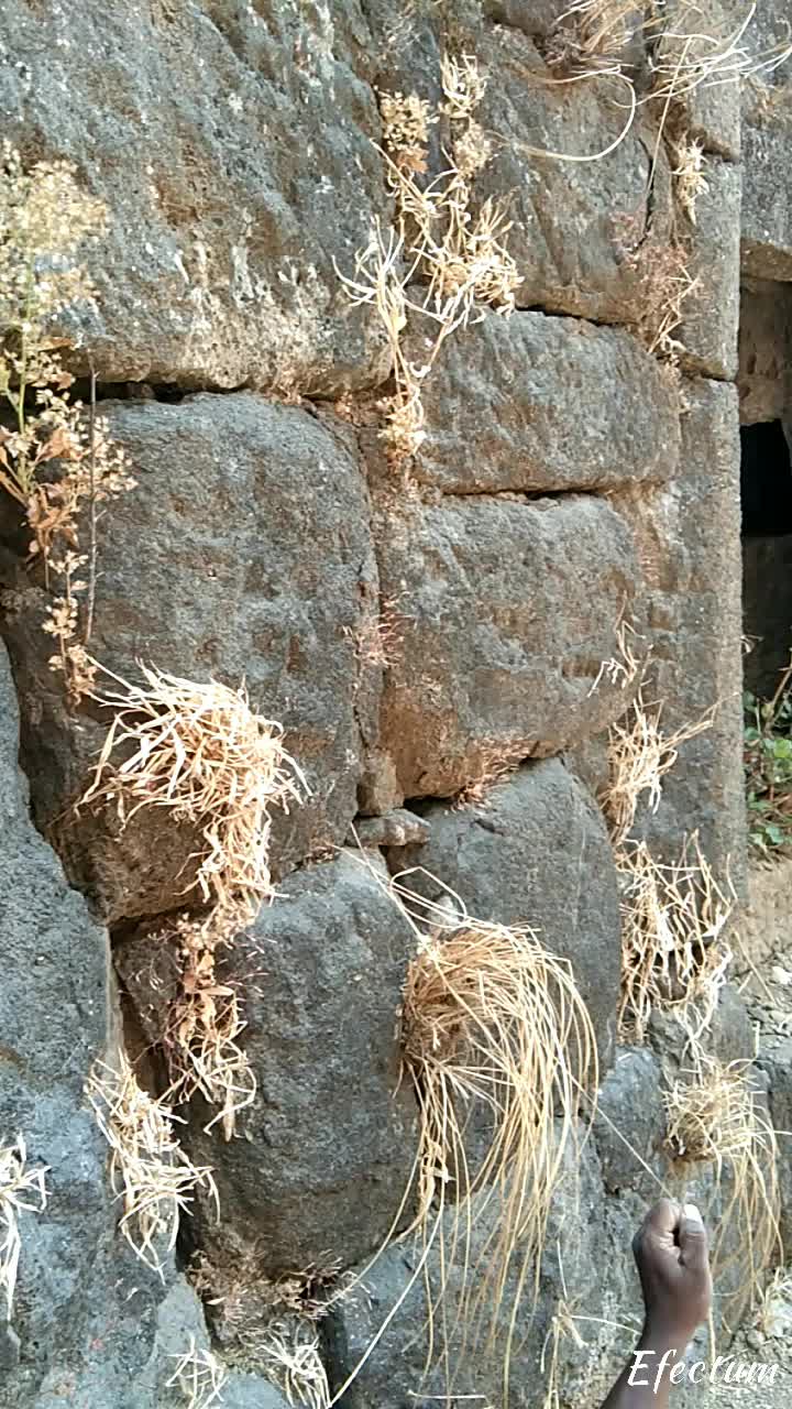 @Pradeep Pawar