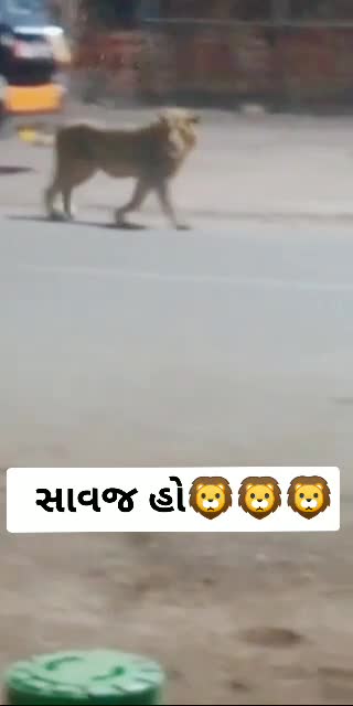 @nikunj kathrotiya