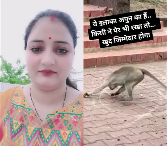 @Vandna Rajput