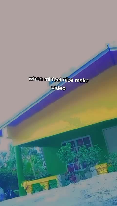 @1pinwing