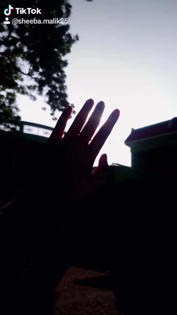 @sheeba.malik25