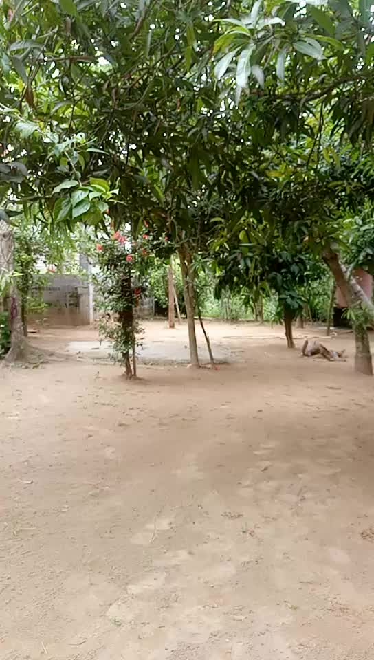 @Subhan Khuntia