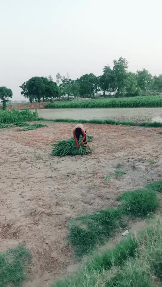 @Rai Saab