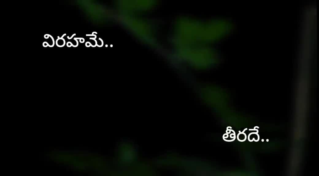 @user38582565992