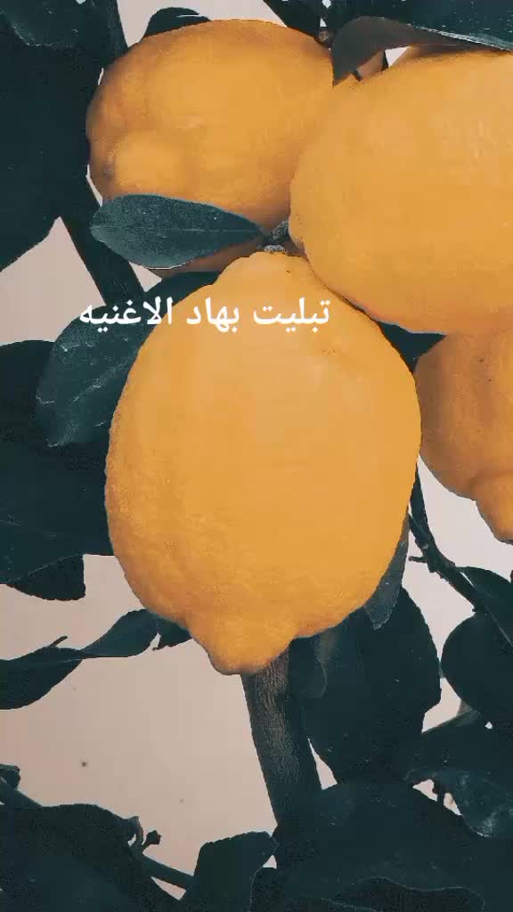 @ْ