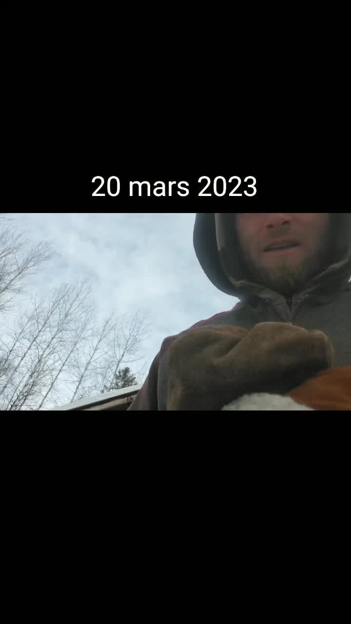 @EL DiC des bois🔥🐔🐓🦌🐏🐐🦌
