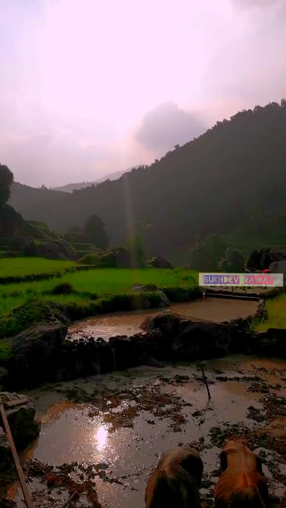 @Sukhdev rawat