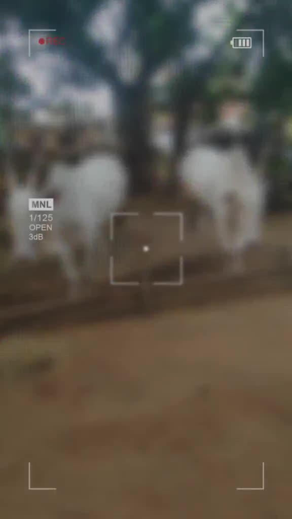 @ಗೌಡ್ರು ಹುಡುಗ ಉದಯ್