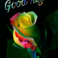 @Ayesha Mirdha