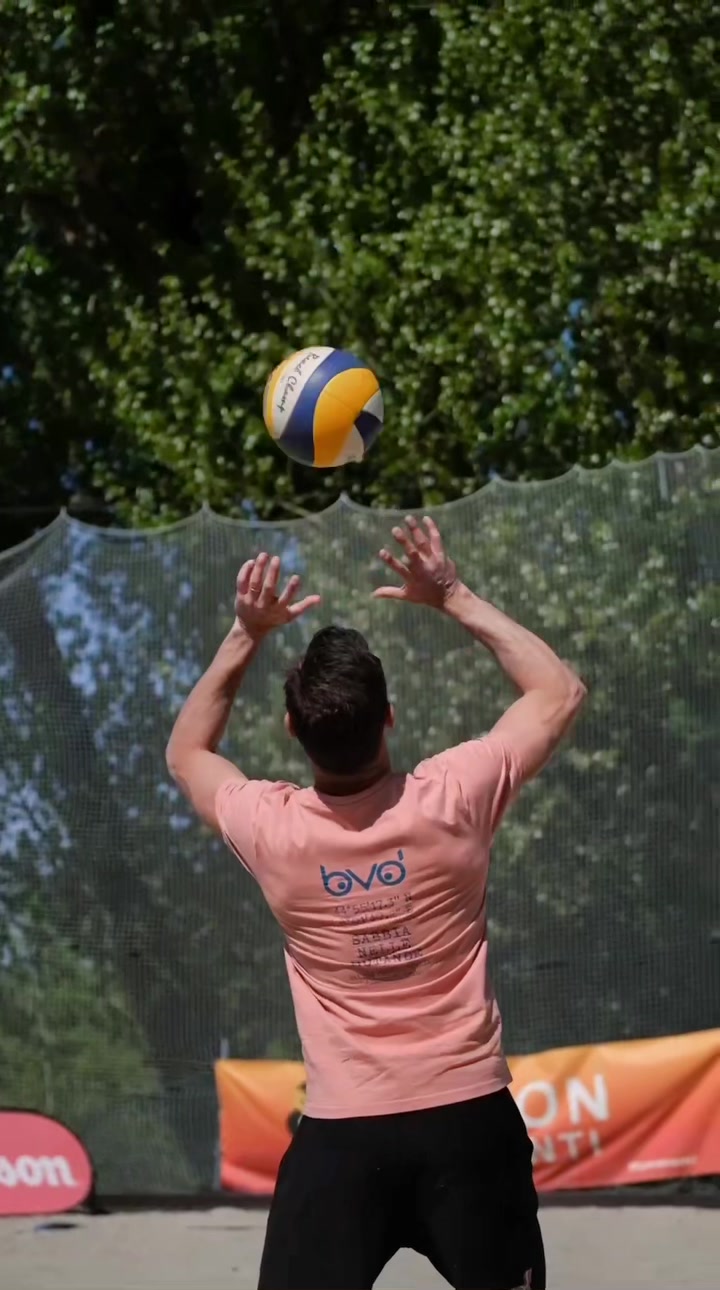 @#seguilgufo 🦉