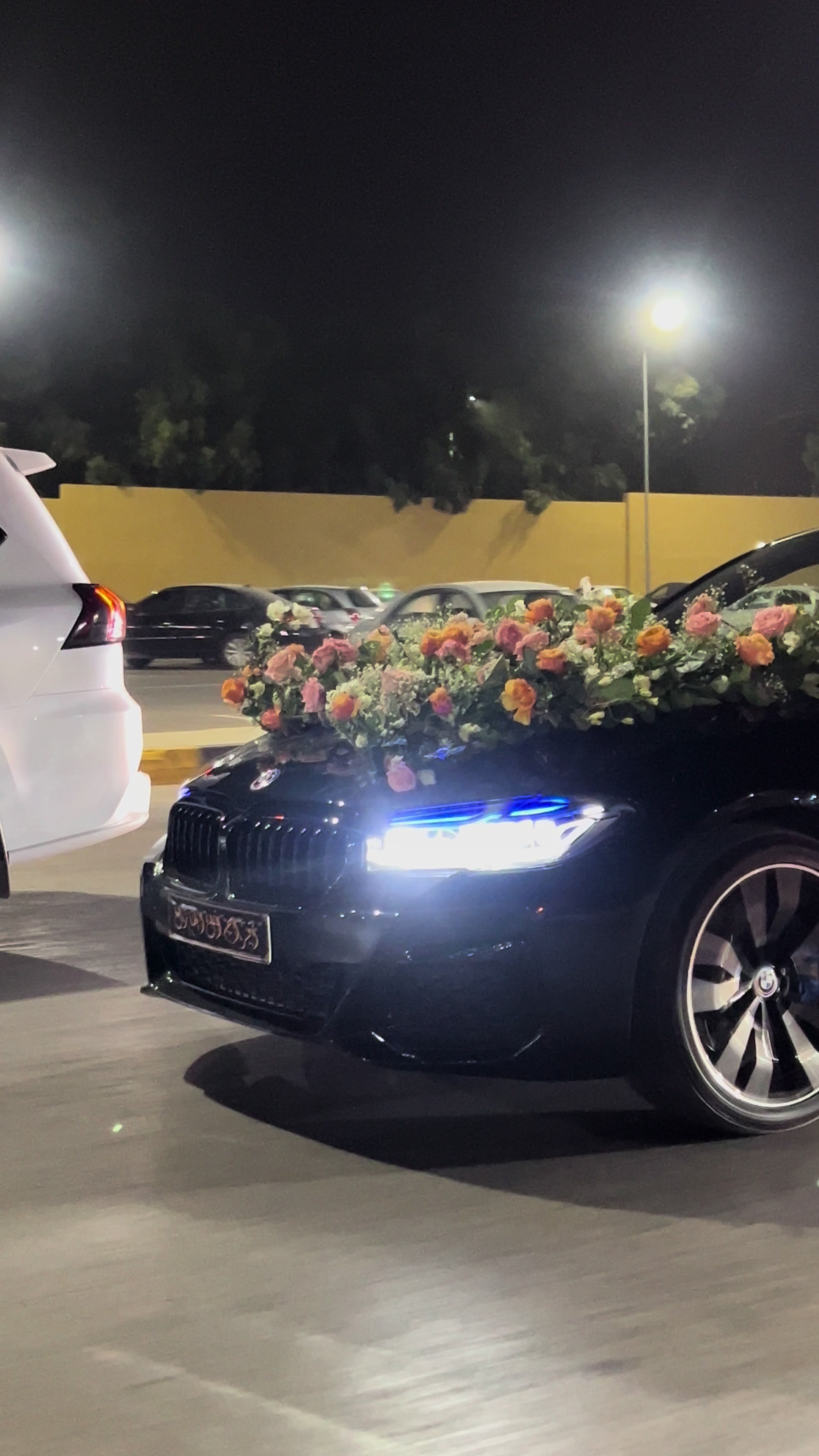 @مــحـمــد__دوِمـــه 🐆