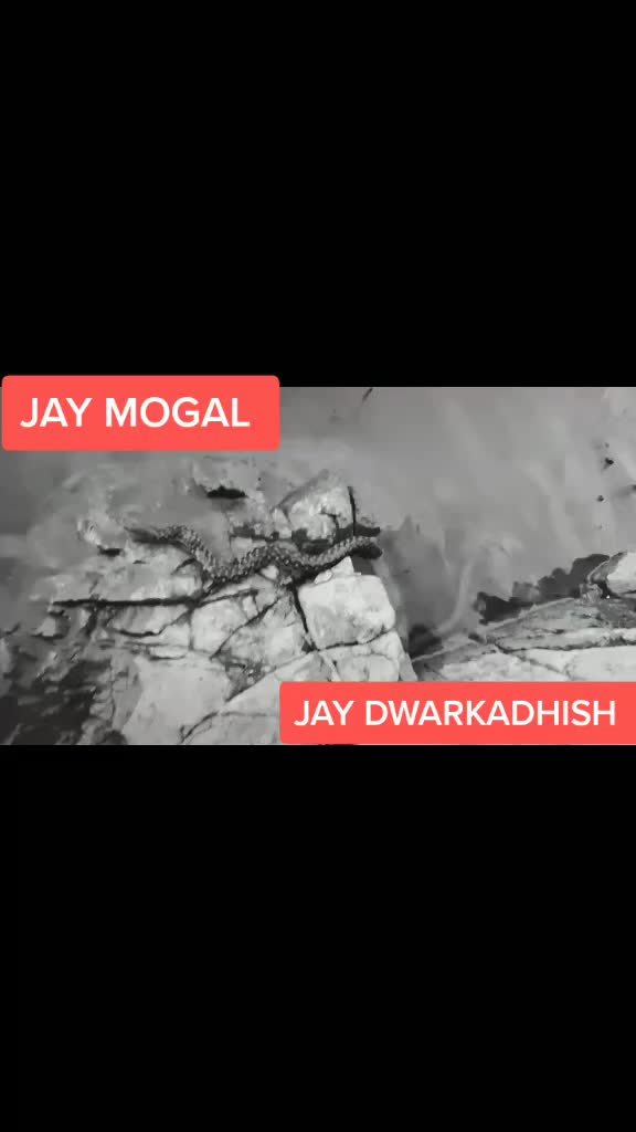 @💖_ઘાયલ_💞ગોવાળીયો🥰