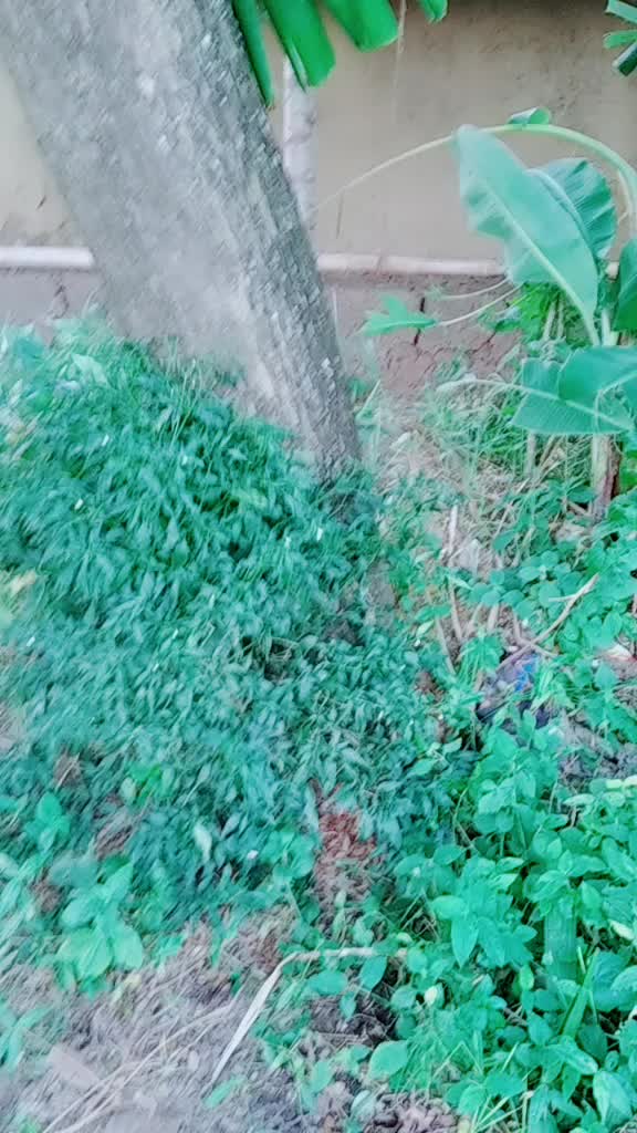 @@smile-enjal143