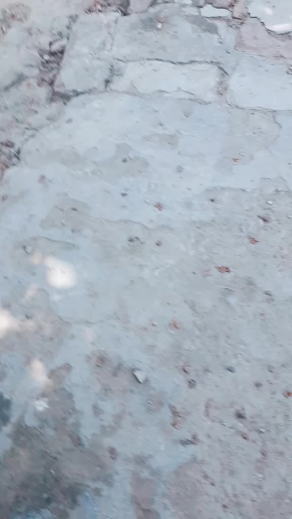 @FOJI KHIVA1234000790