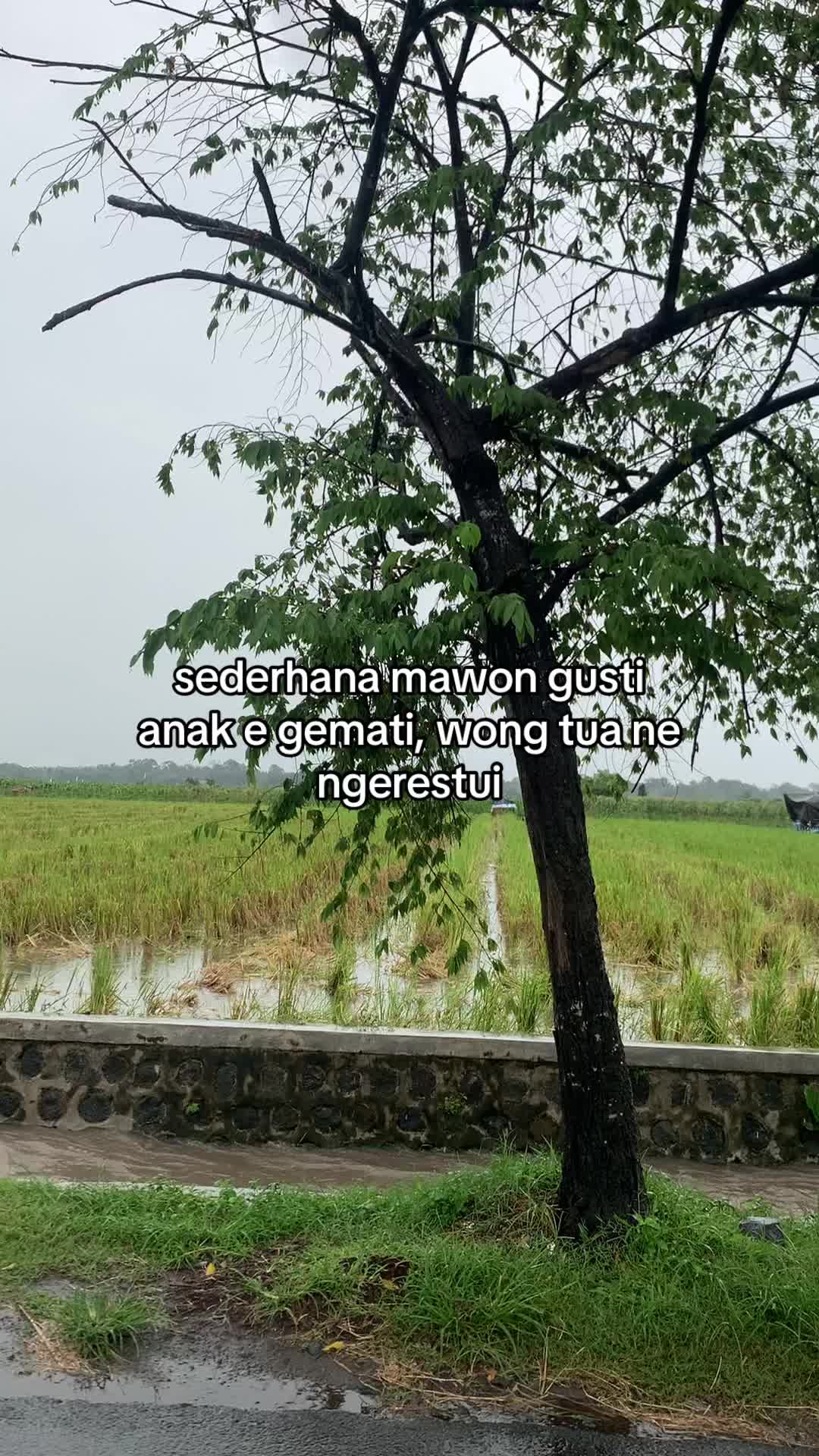 @il.myyyyy