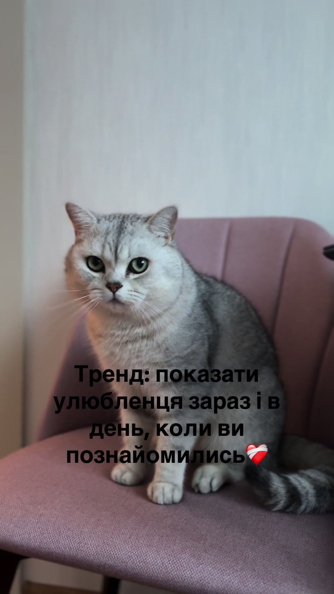 @Uliana_Dubnytska