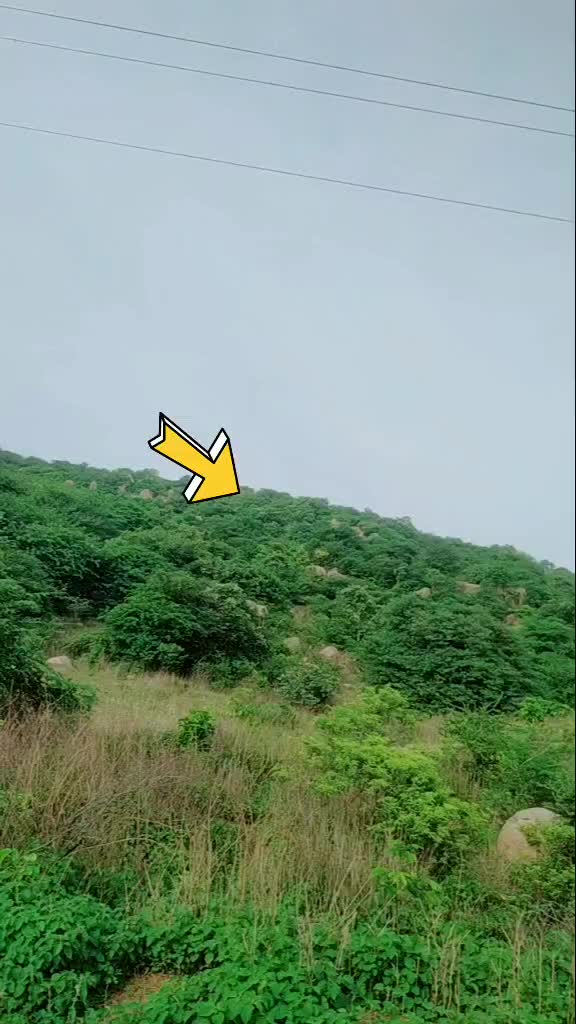 @bonagiri raju