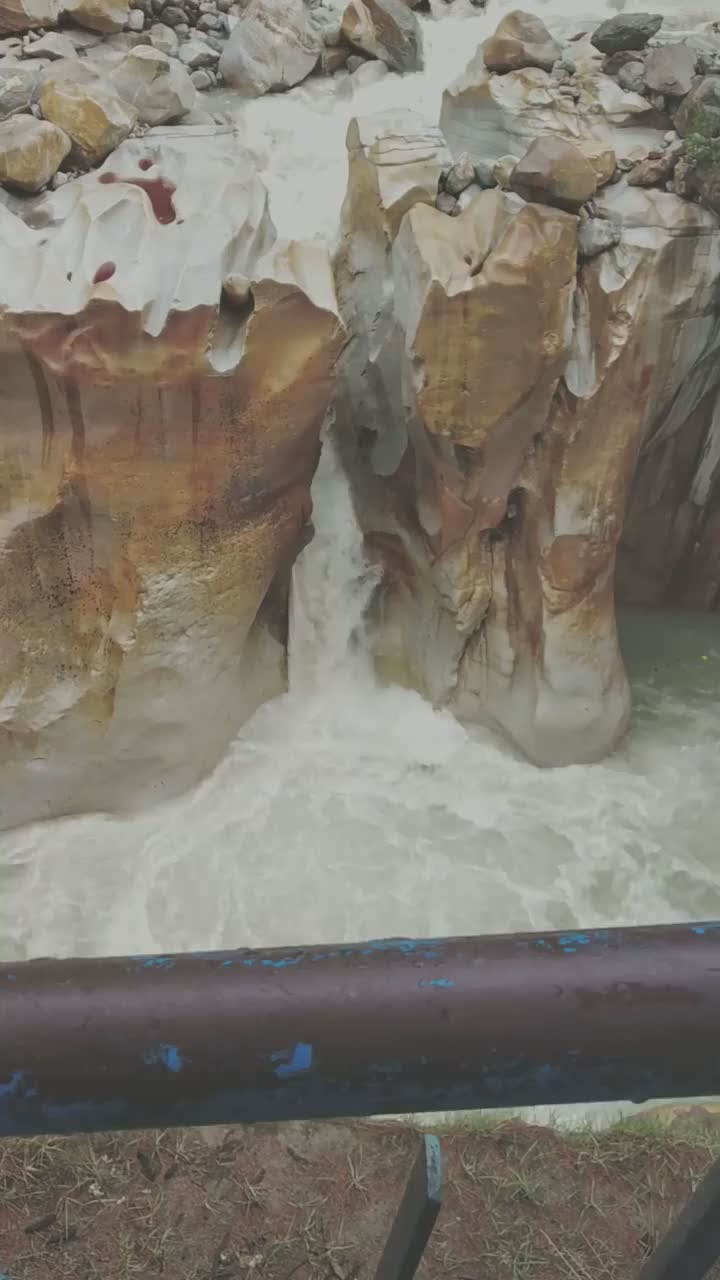@anshikadwivedi