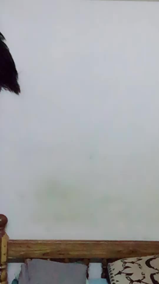 @vijay000raj