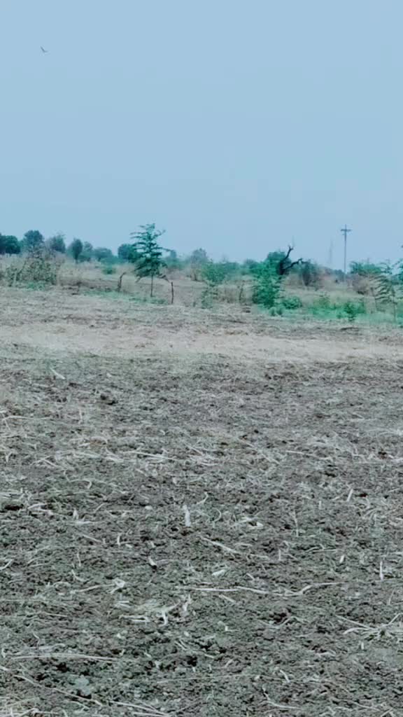 @soni