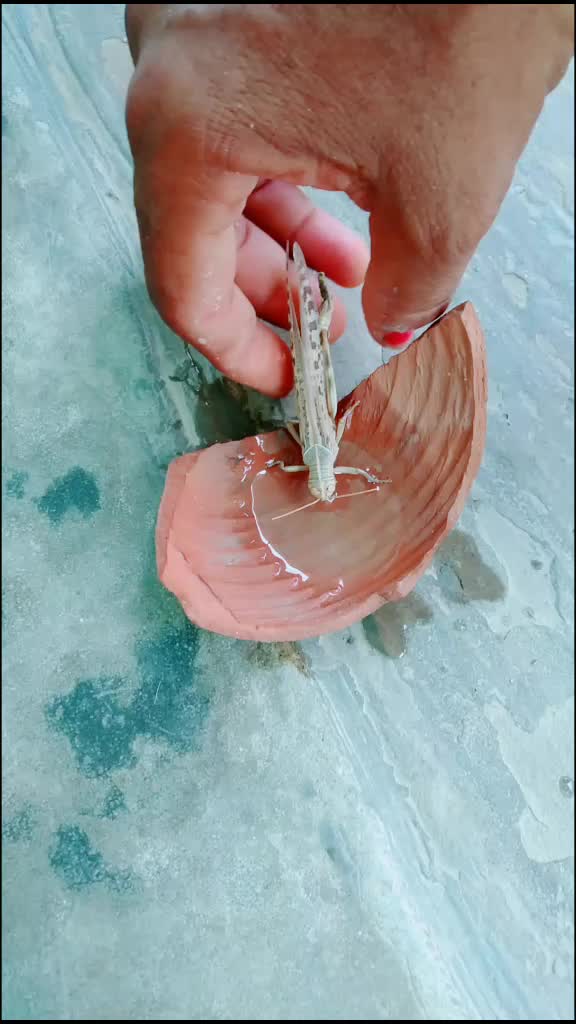 @Ritu jhajhariya